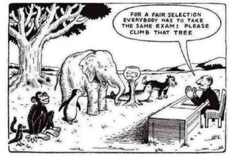Assessment Pattern - The Achievers School